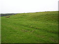 SS7693 : Buarth y Gaer Iron Age Hill Fort by Kevin Trahar