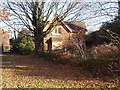 Derelict house in the park