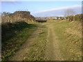 Bridleway north of Carter