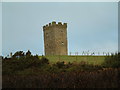 NS4255 : Castellated tower 'Folly' near Uplawmoor by James Allan