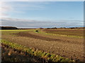 Farmland behind sand dunes, Formby