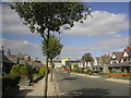 Houses in Midstocket