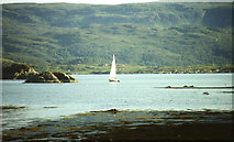 NM6060 : Glenborrodale Bay with Risga island on left by Martin Southwood