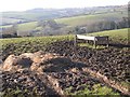 Cattle Feeding Station