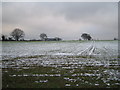 Farmland near Allesley Green