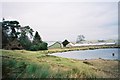 Pond and Wood Hall Farm