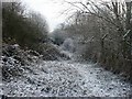 Railway embankment, Haydon Hill