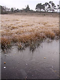 SU3405 : Frozen water at Shatter Ford, New Forest by Jim Champion