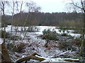 Picnic site at Mardley Heath - disused workings.