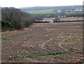 Ploughed Fields