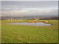 Hillside Pond