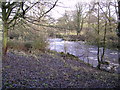 SD5152 : Weir on the Wyre by Michael Graham