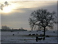 Monk Fryston Lodge Farm