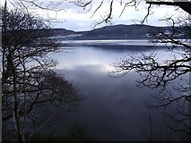 NH6589 : Looking over the Dornoch Firth New Year's Day 12 noon 2006 by Donald H Bain