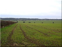TL3657 : Farmland SW of Hardwick, Cambs by Rodney Burton