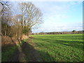 Farmland next to Strand Water