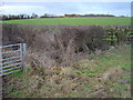 London Barn, south of Farthinghoe