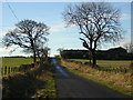 Road to Burnhead Farm Passing Haspielaw