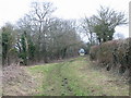 Fringford footpath