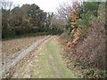 Coast Path towards Blue Anchor Bay