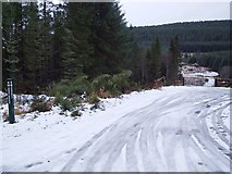 NH6873 : Forestry Road by Donald H Bain