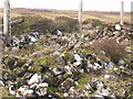 NG4250 : Burial Cairn near Annishader by John Allan