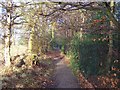 Harrogate Ringway Path behind Harlow Carr Gardens