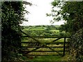 Farm gate at Gluvian