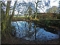 Pond, Bledlow Ridge