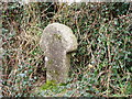 Old cross in hedge near Lesingey Lane