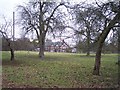 Half Timbered House and Orchard