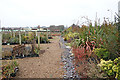 James Coles Plant Nursery, Thurnby, Leicester