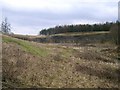 Disused Quarry