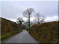 Lane leading down to Fork Cross - south Devon