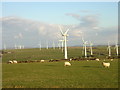 Llyn Alaw Wind Farm