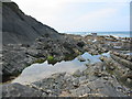 Rock pool at Crackington Haven Cornwall