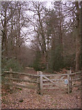 SU3011 : An entrance to the east side of the Brockishill Inclosure, New Forest by Jim Champion