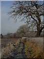 Winter morning on the path which runs NW to Heath Farm