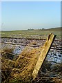 Fields above Mills of Earn