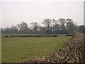 Silage and School