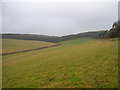 The valley to the west of Hughenden Manor