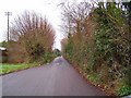 SX8865 : Nut Bush lane - Torbay by Richard Knights