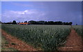 Fields above Empingham