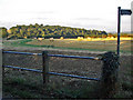 SO7612 : Field beside lane,  Longney  and view to Monks Hill by Phil Champion