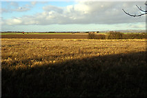 SE9222 : Looking North from Winteringham Church by David Wright