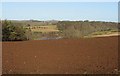 Ploughed Field