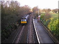 Shepley Station