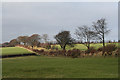 Brompton Regis: West Somerset Mineral Railway formation