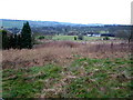 Across the fields towards Flockton Cricket Pitch