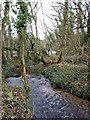 Mill stream at Crean Mill